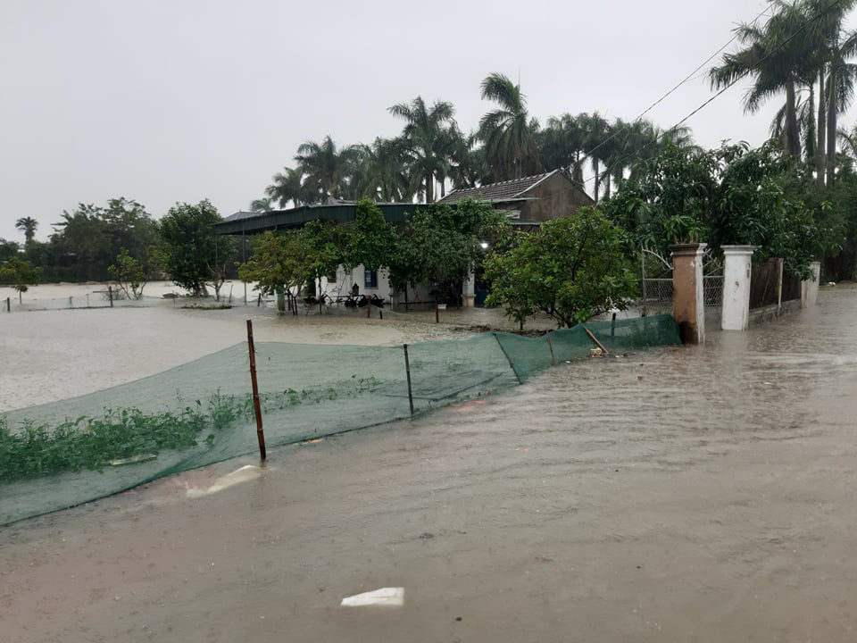 Mưa lớn, h&agrave;ng ng&agrave;n nh&agrave; d&acirc;n ở Nghệ An bị ngập s&acirc;u - Ảnh 18.