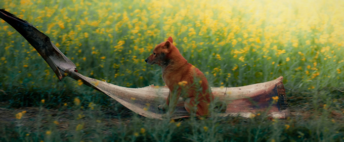 Vừa hé lộ, “Cậu Vàng” tiếp tục gây tranh cãi dữ dội - Ảnh 2.