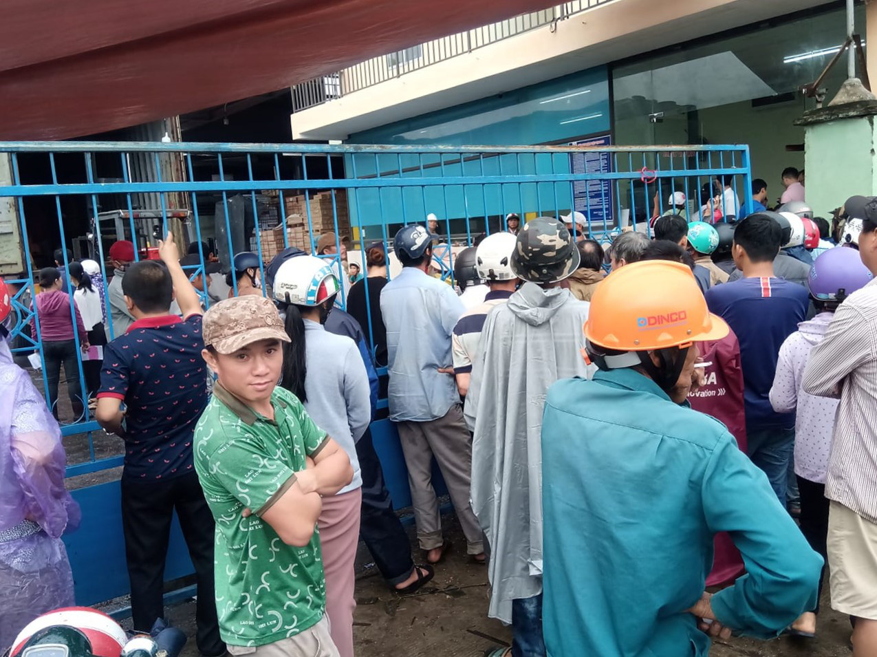 Sau b&atilde;o, h&agrave;ng ng&agrave;n người Quảng Ng&atilde;i chen lấn đi mua ng&oacute;i - Ảnh 2.