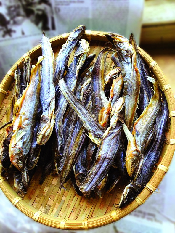 Con cá sông Mê Kông - Ảnh 4.