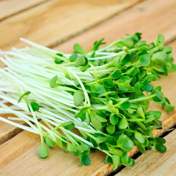 Ăn toàn rau đậu vẫn bị gút hành hạ, vì sao?