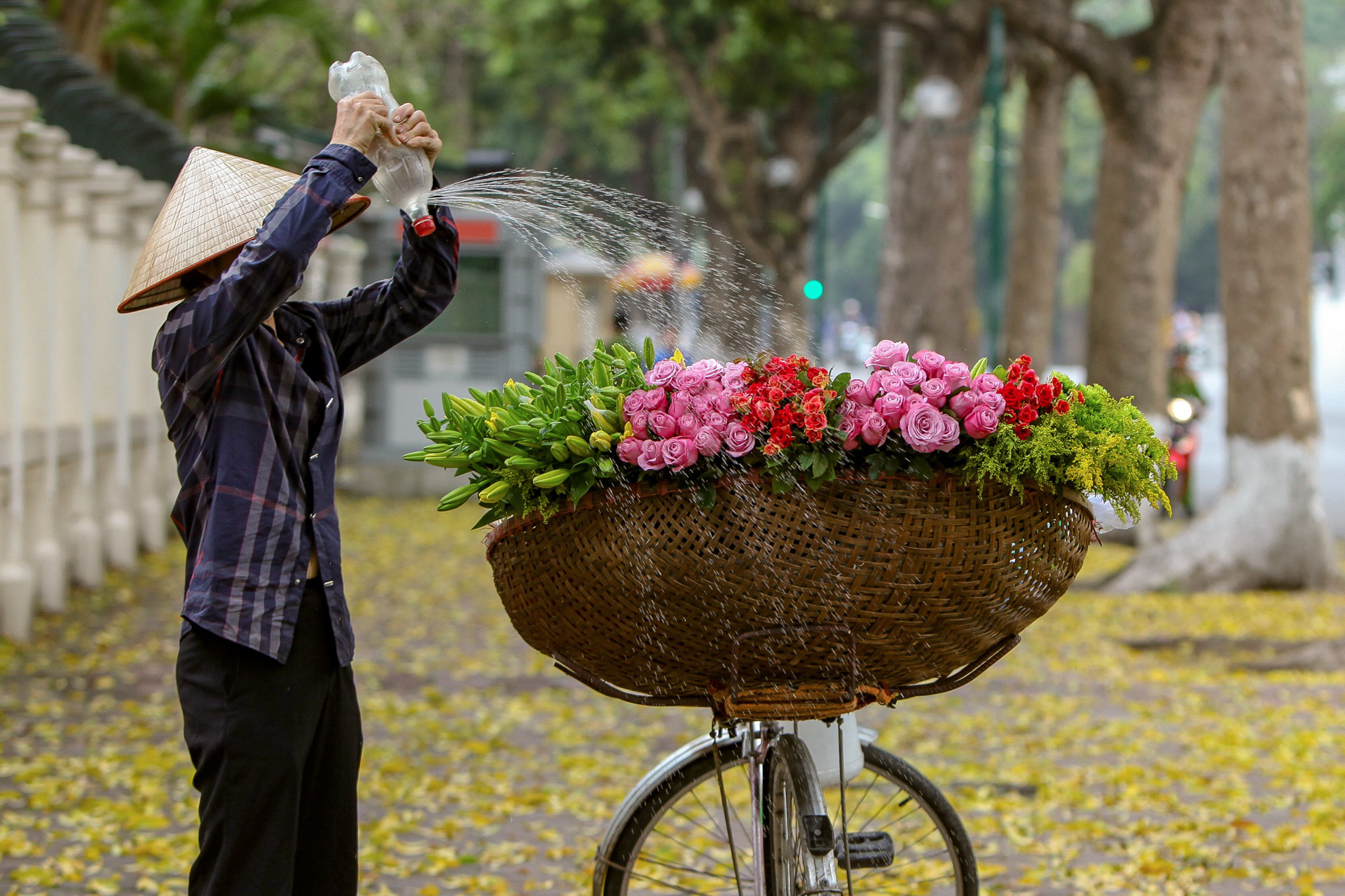 Khoảnh khắc H&agrave; Nội trong m&ugrave;a đẹp nhất năm - Ảnh 12.
