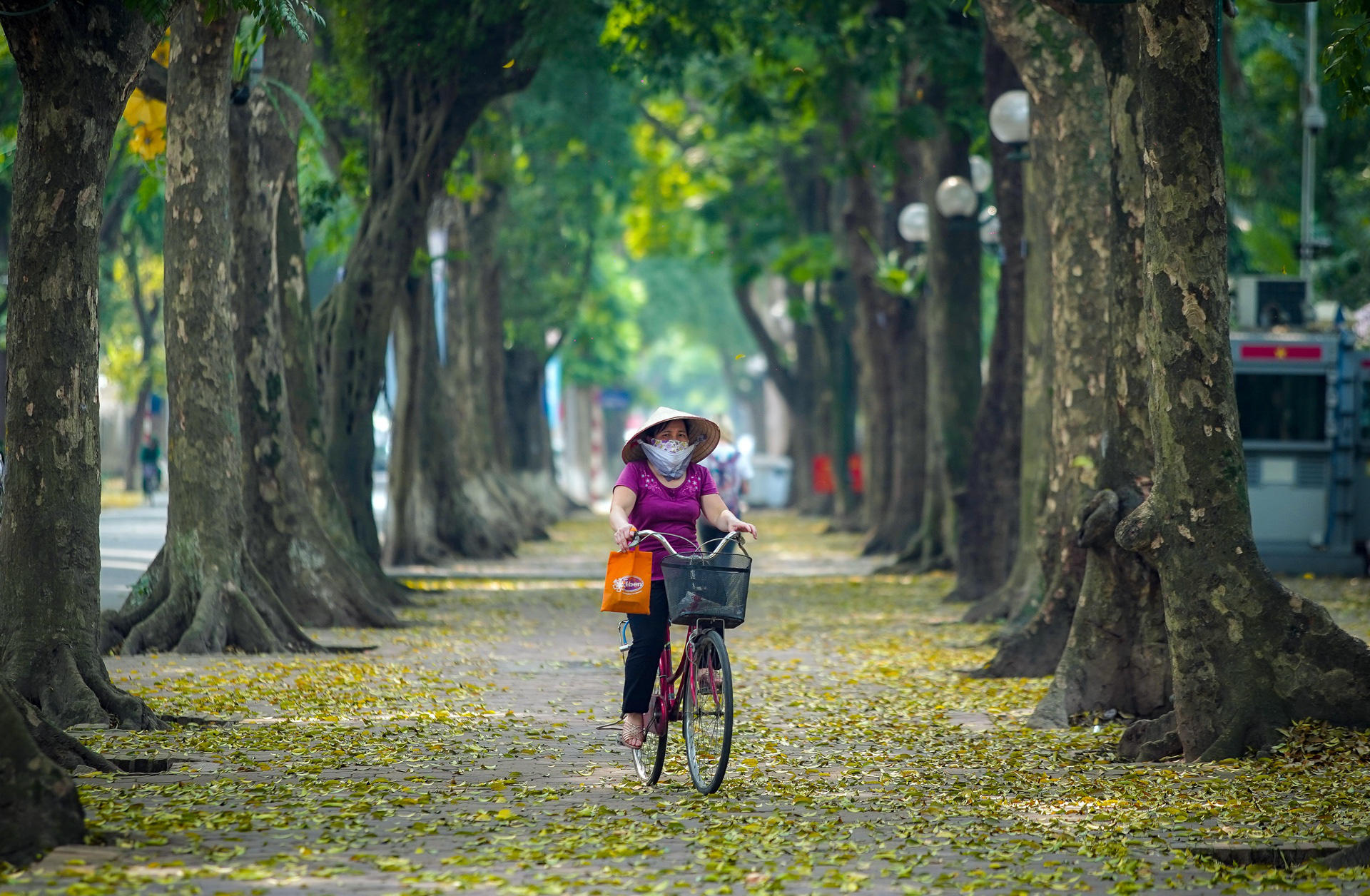 Khoảnh khắc Hà Nội trong mùa đẹp nhất năm