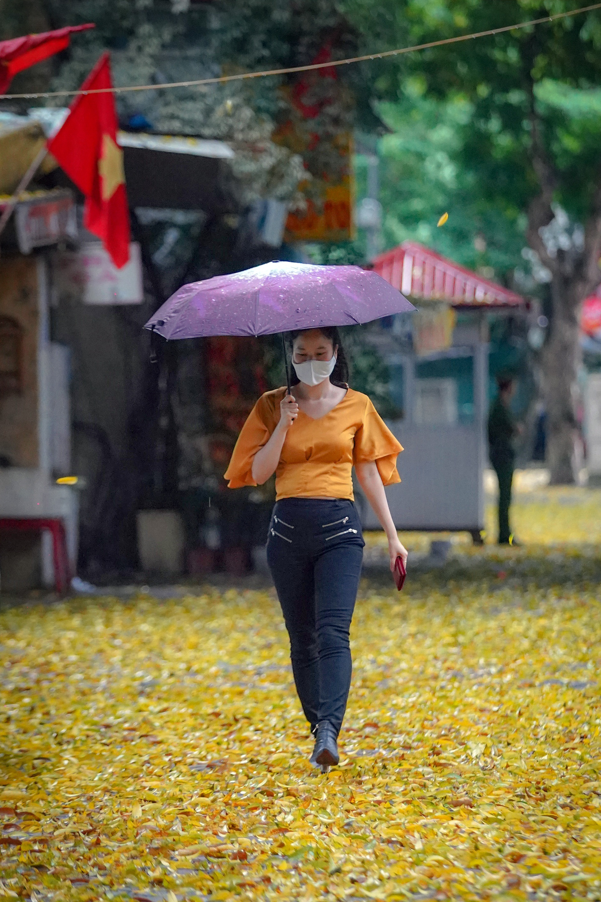 Khoảnh khắc H&agrave; Nội trong m&ugrave;a đẹp nhất năm - Ảnh 10.