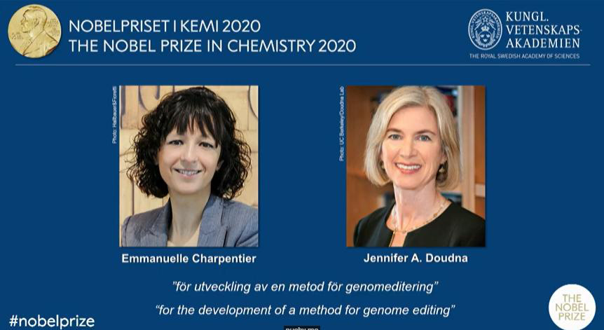 Giải Nobel Hóa học 2020 tôn vinh phương pháp chỉnh sửa gien