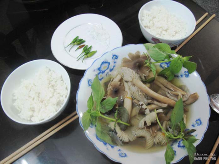 3 món ăn “lạ” ở miền núi Phú Yên - Ảnh 3.