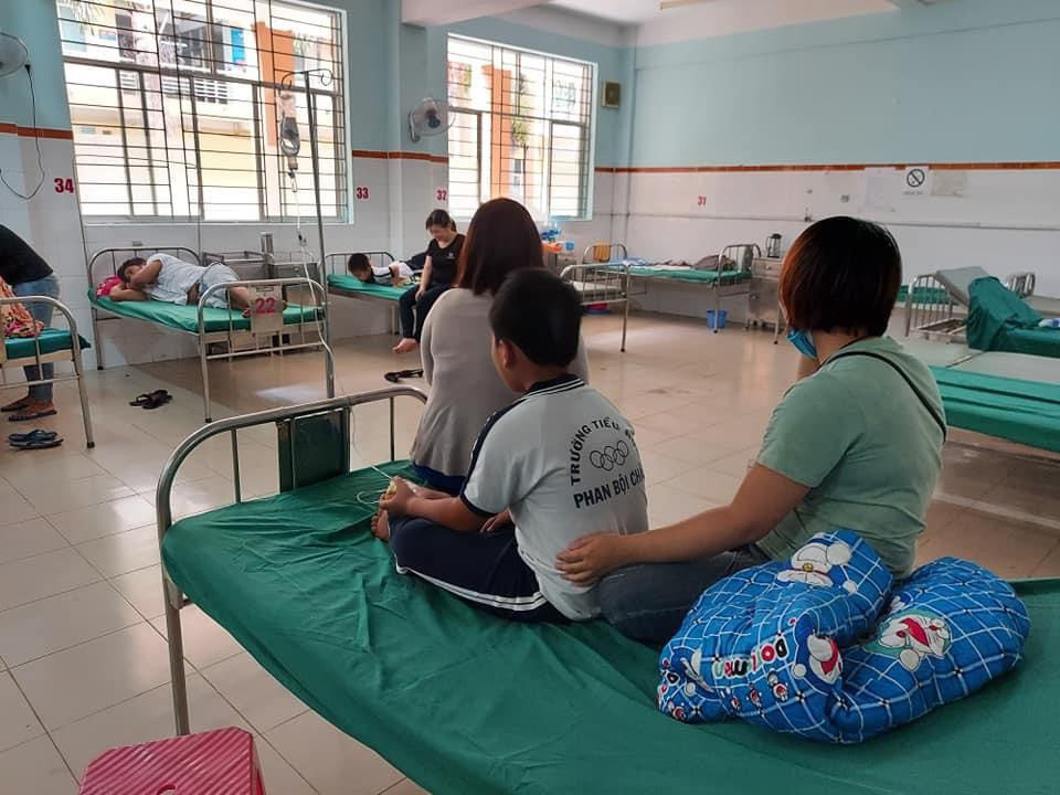 Đồng Nai: Nhiều học sinh bị ong vò vẽ chích nhập viện
