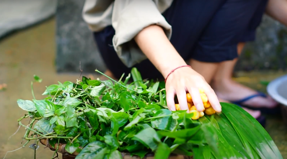 Độc đ&aacute;o b&aacute;nh giầy ngũ sắc - Ảnh 1.