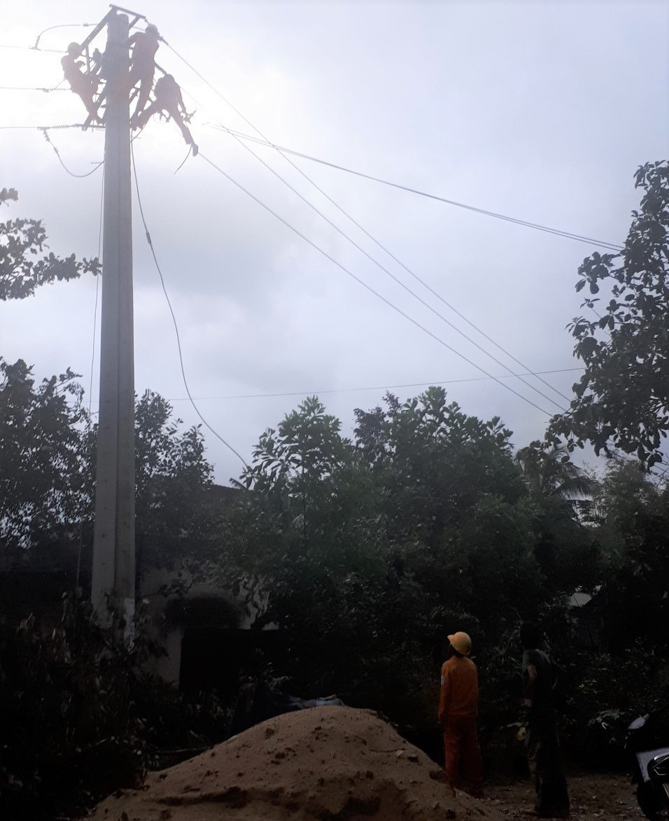 Vụ k&ecirc; gi&agrave;n gi&aacute;o cắt d&acirc;y điện 3 pha: Gia đ&igrave;nh tố điện lực Ba Tơ qu&aacute; chậm trễ - Ảnh 1.