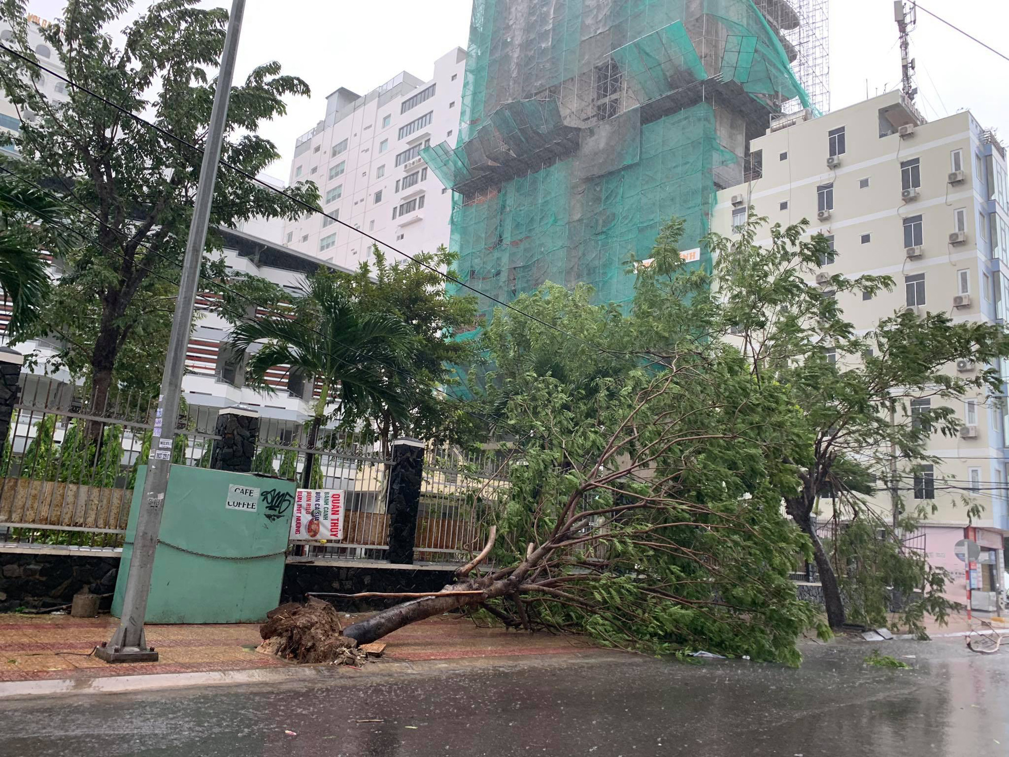 Xuất hiện đợt lũ ở mức trên dưới báo động III tại Khánh Hòa, Phú Yên - Ảnh 5.