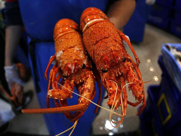 Trung Quốc chặn “đường sống” của Úc vì tập trận với Mỹ