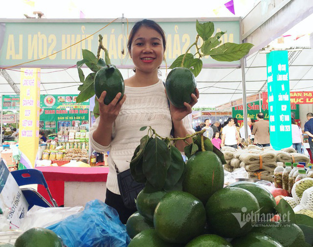 Quả bơ khổng lồ nặng 2 kg, hàng trên núi về gây sốt Hà thành - Ảnh 3.