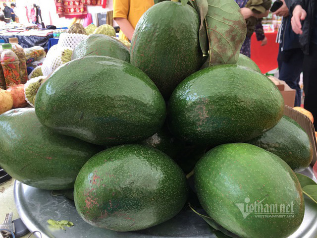 Quả bơ khổng lồ nặng 2 kg, hàng trên núi về gây sốt Hà thành - Ảnh 4.