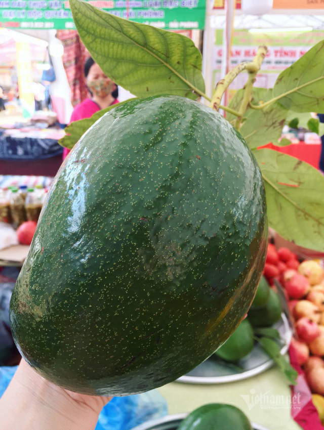 Quả bơ khổng lồ nặng 2 kg, hàng trên núi về gây sốt Hà thành - Ảnh 6.