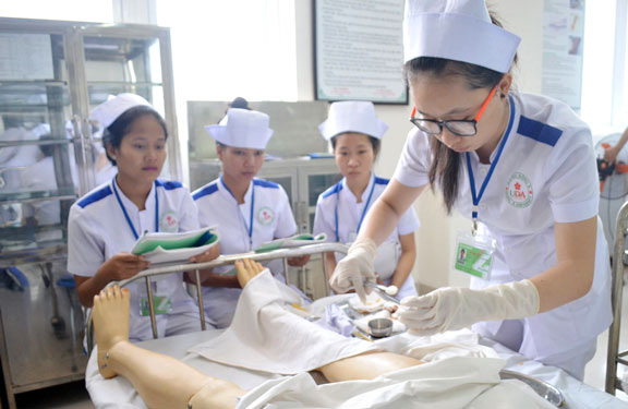 Nhật Bản đánh giá cao điều dưỡng, hộ lý Việt Nam