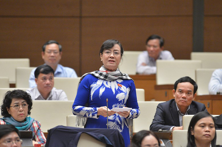 Thời điểm ch&iacute;n muồi để tổ chức ch&iacute;nh quyền đ&ocirc; thị tại TP HCM - Ảnh 1.