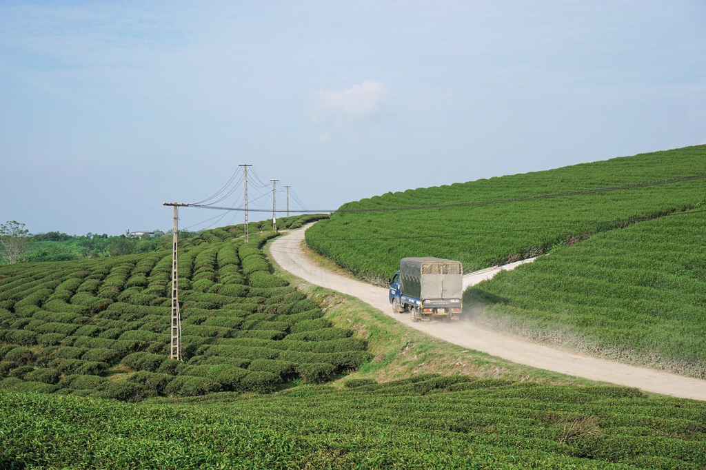 Kinh nghiệm du lịch Mộc Châu - Ảnh 10.