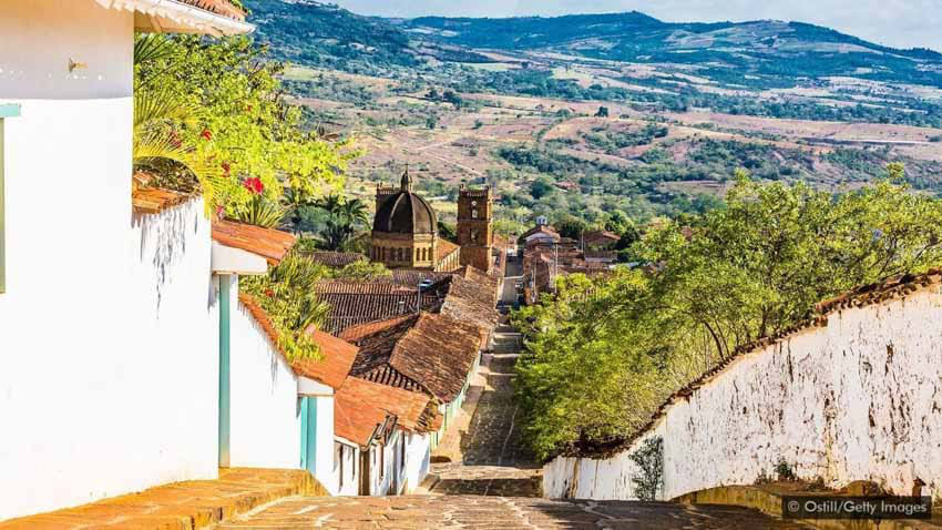 Lạ l&ugrave;ng m&oacute;n kiến m&ocirc;ng to của người Colombia - Ảnh 1.