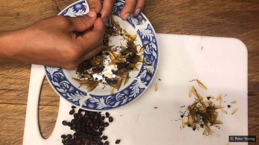 Lạ l&ugrave;ng m&oacute;n kiến m&ocirc;ng to của người Colombia - Ảnh 3.