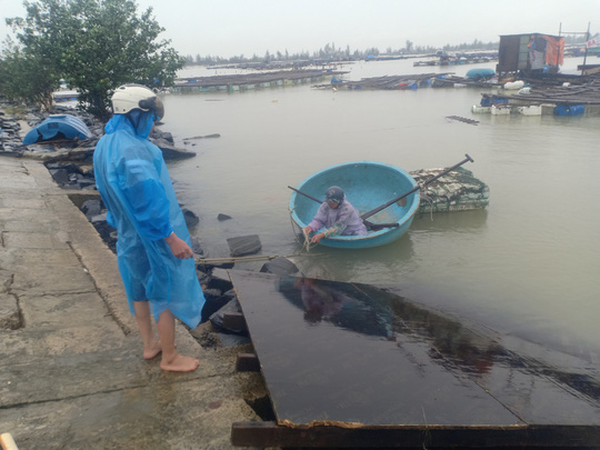 B&atilde;o số 13 v&agrave;o miền Trung: Bờ biển tan hoang, nh&agrave; tốc m&aacute;i, c&acirc;y g&atilde;y la liệt - Ảnh 13.