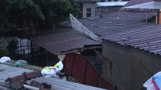 B&atilde;o số 13 v&agrave;o miền Trung: Bờ biển tan hoang, nh&agrave; tốc m&aacute;i, c&acirc;y g&atilde;y la liệt - Ảnh 23.