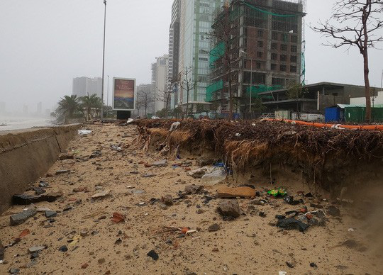 B&atilde;o số 13 v&agrave;o miền Trung: Bờ biển tan hoang, nh&agrave; tốc m&aacute;i, c&acirc;y g&atilde;y la liệt - Ảnh 8.