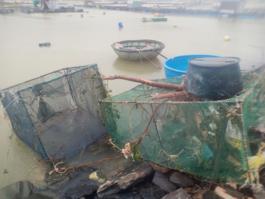 B&atilde;o số 13 v&agrave;o miền Trung: Bờ biển tan hoang, nh&agrave; tốc m&aacute;i, c&acirc;y g&atilde;y la liệt - Ảnh 12.