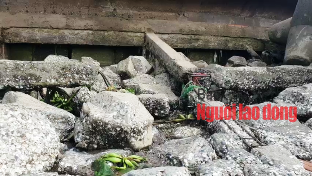 CLIP: Triều cường gây sụt lún kinh hoàng đê kè cửa biển Nhà Mát - Ảnh 6.