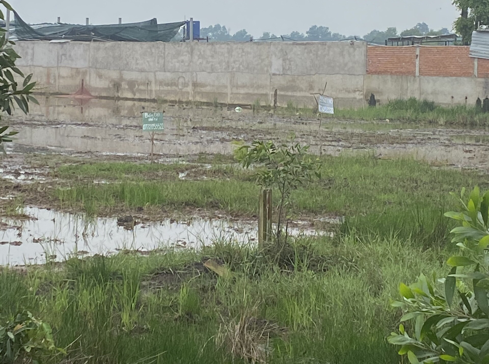 Khổ vì hồ sơ tách thửa tại huyện Hóc Môn bị "ngâm"