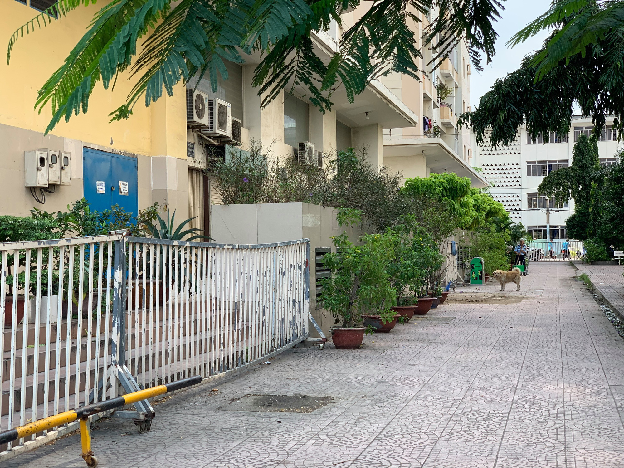 Cụ b&agrave; 78 tuổi rơi lầu ở quận 10 - Ảnh 1.