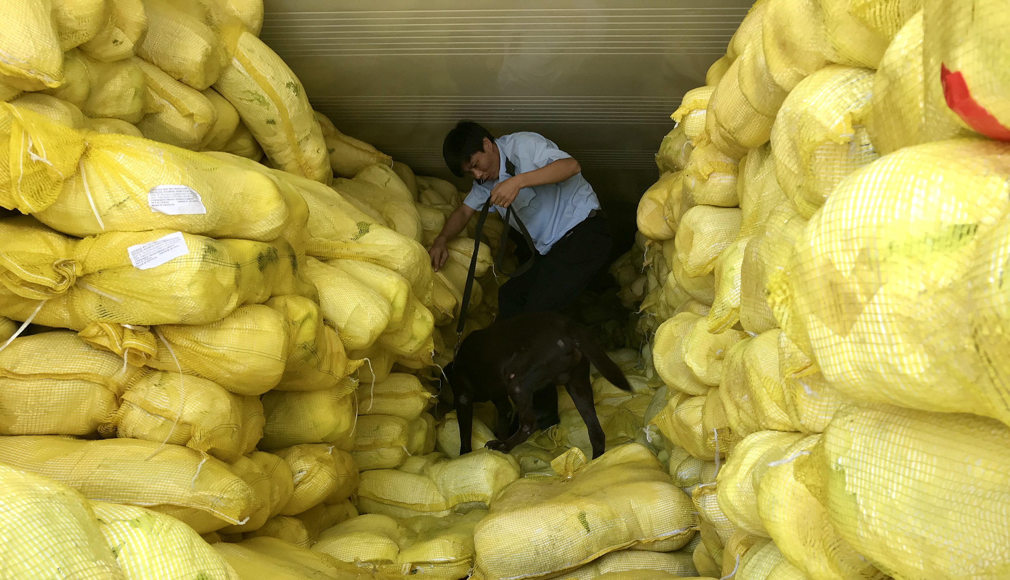 Lãnh đạo của 3 doanh nghiệp ở TP HCM bị cấm xuất cảnh - Ảnh 1.