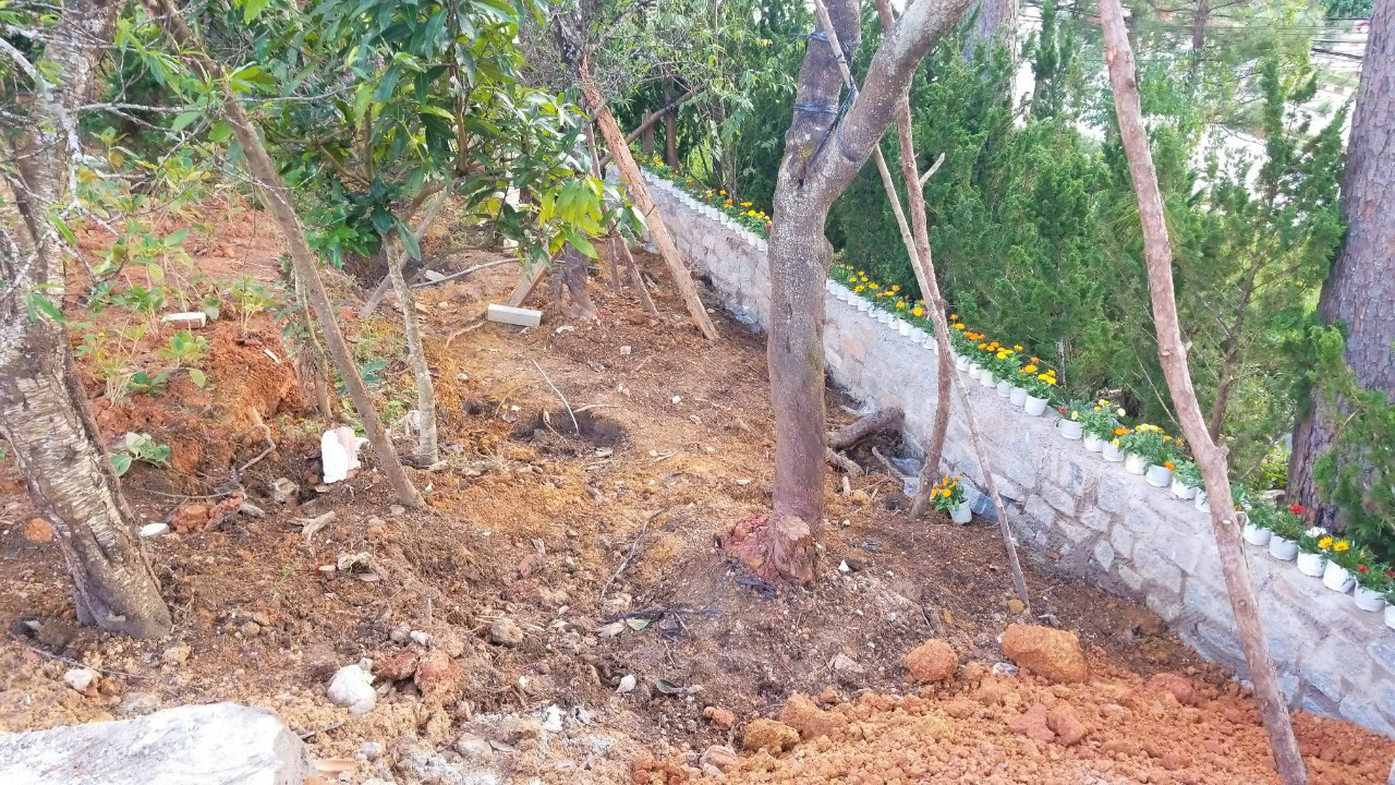 Ngang nhi&ecirc;n lấn chiếm đất c&oacute; gi&aacute; hơn 100 triệu đồng/m2 tại trung t&acirc;m TP Đ&agrave; Lạt - Ảnh 6.