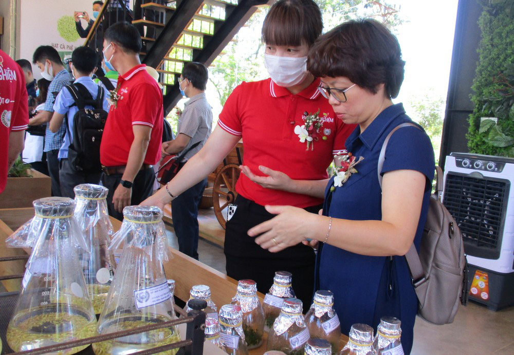 Nh&agrave; thu mua c&agrave; ph&ecirc; lớn nhất Việt Nam mở khu trải nghiệm c&agrave; ph&ecirc; ở T&acirc;y Nguy&ecirc;n - Ảnh 1.