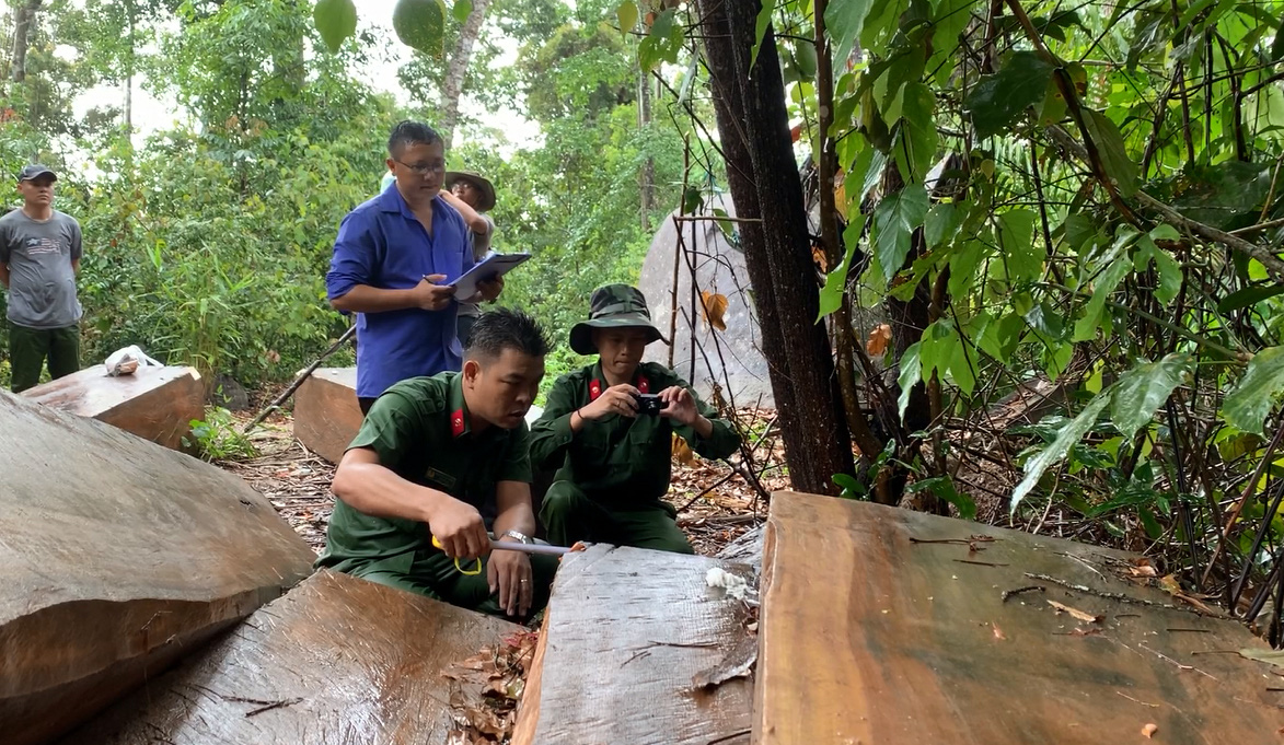 Còn phá rừng, còn thảm họa thiên tai