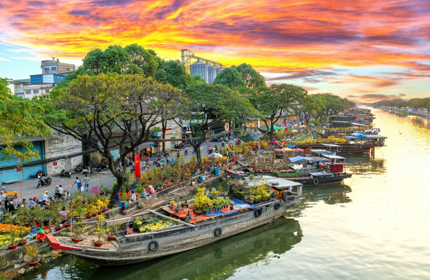 D-Aqua và địa thế đặc biệt trên bến hoa Tết