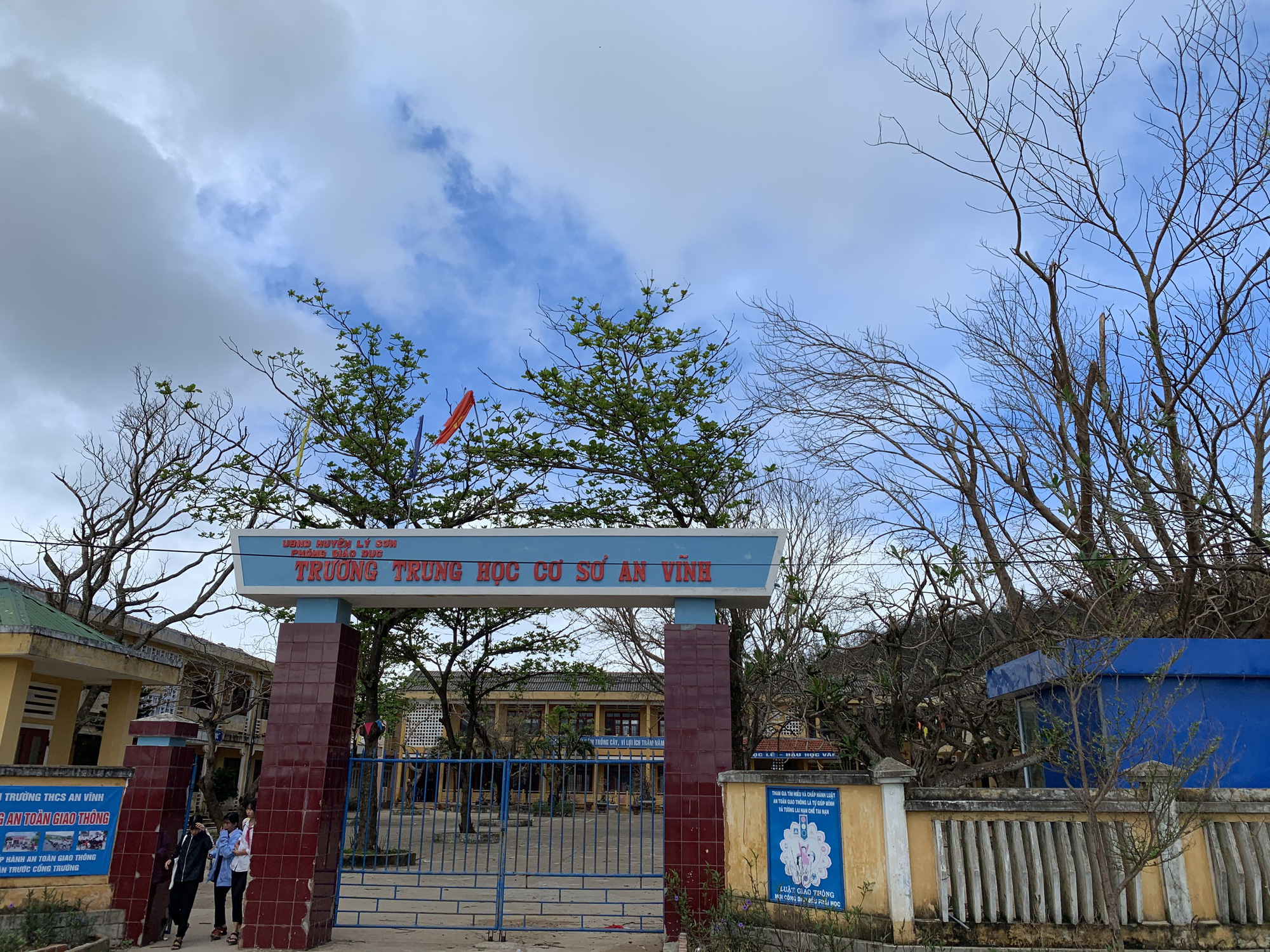 H&agrave;ng chục ng&agrave;n c&acirc;y xanh tr&ecirc;n đảo L&yacute; Sơn bị b&atilde;o vặt trụi l&aacute;  - Ảnh 14.
