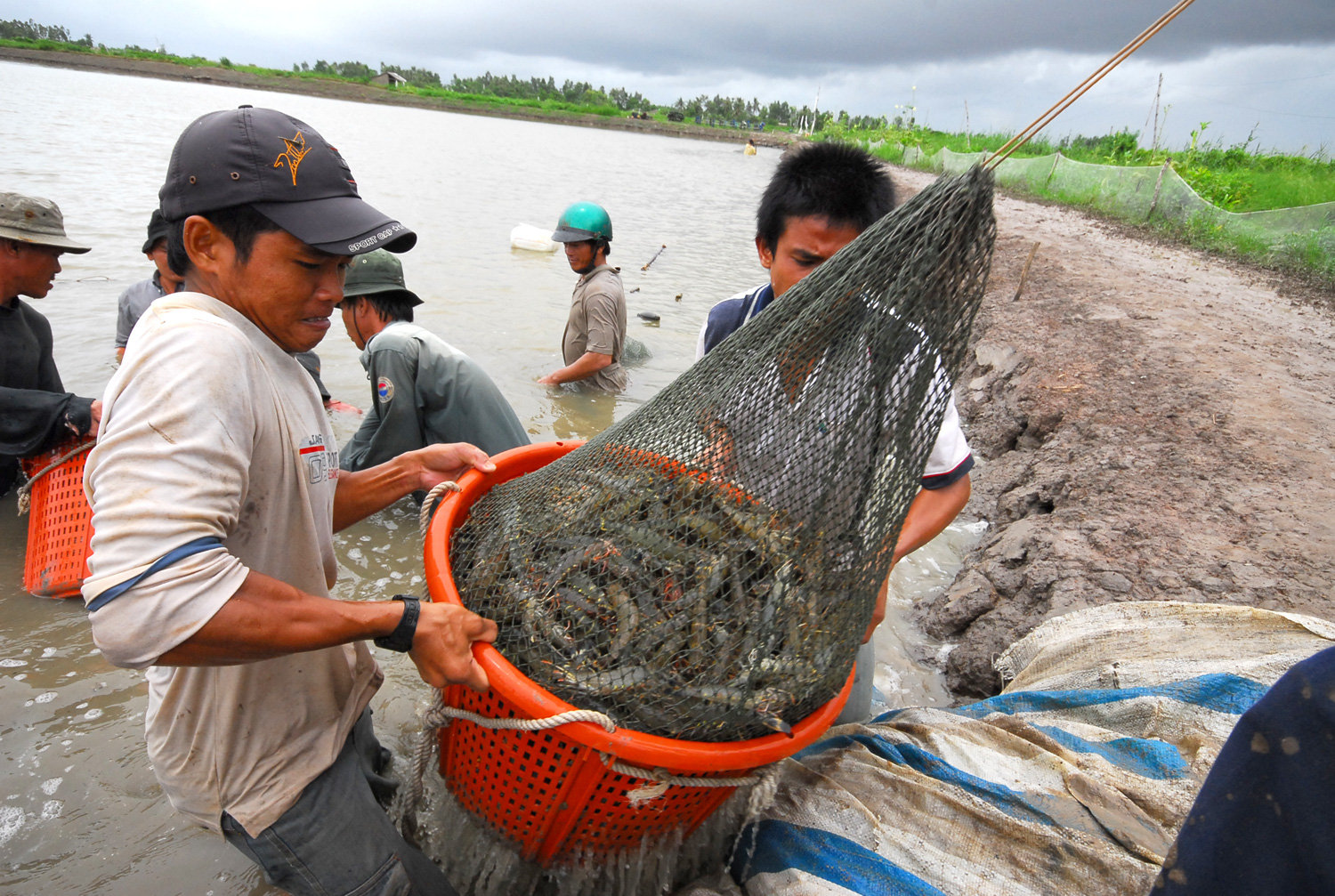 Bảo vệ người dân và môi trường là ưu tiên hàng đầu trong Quy hoạch ĐBSCL