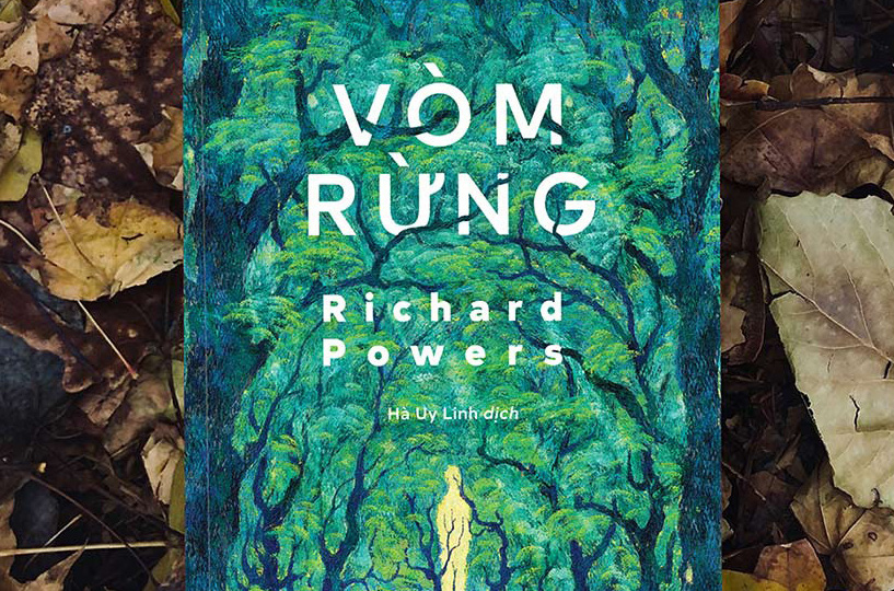 "Vòm rừng" - cây đời mãi xanh tươi