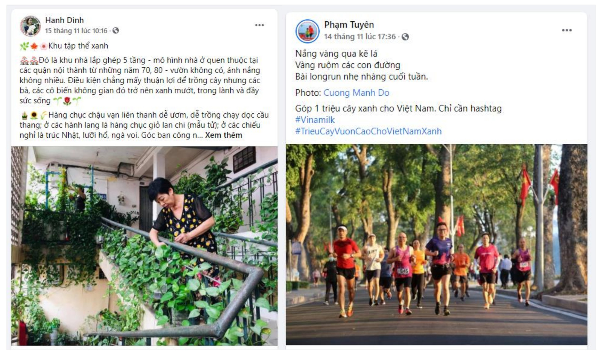 &lsquo;Triệu c&acirc;y vươn cao cho Việt Nam xanh&rsquo; - Kết th&uacute;c đẹp của chiến dịch online được cộng đồng g&oacute;p sức - Ảnh 1.