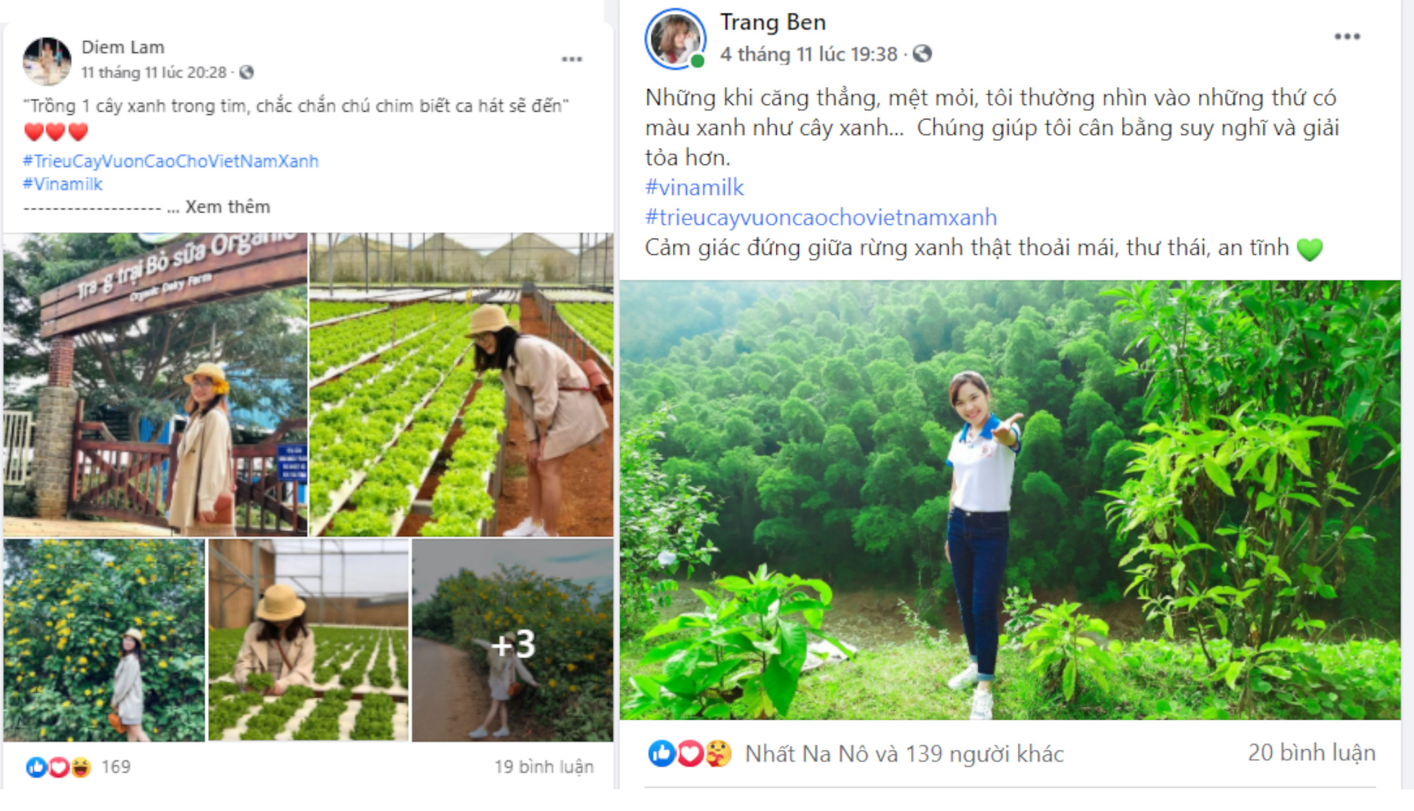‘Triệu cây vươn cao cho Việt Nam xanh’ - Kết thúc đẹp của chiến dịch online được cộng đồng góp sức
