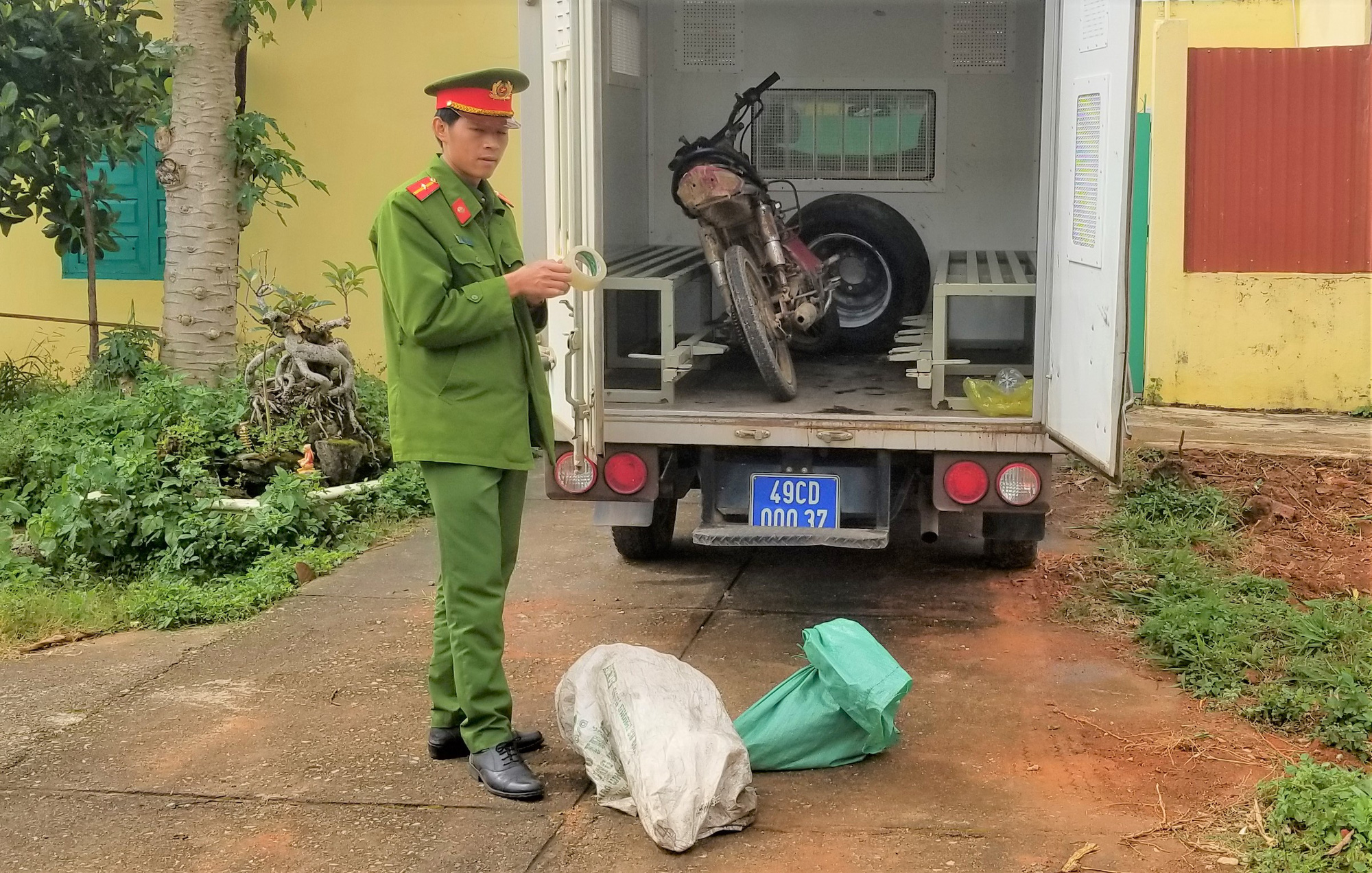 Bắt tạm giam đối tượng phá rừng ở Lâm Đồng - Ảnh 2.