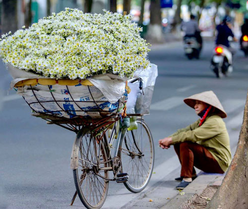 Phố đầu đông