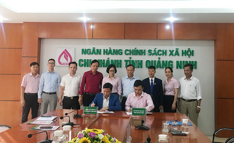 Thêm nhiều doanh nghiệp được vay gói 16.000 tỉ đồng