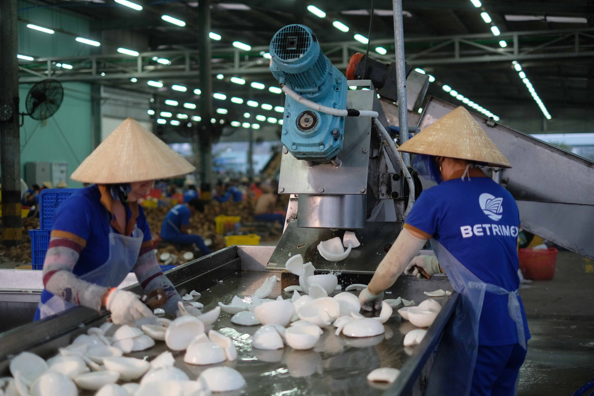 Tổng L&atilde;nh sự Singapore đến tham quan nh&agrave; m&aacute;y Betrimex - Ảnh 3.