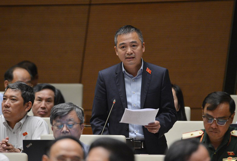 "Chúng ta hô hào trồng rừng nhưng vẫn cấp phép các đại dự án giữa rừng"