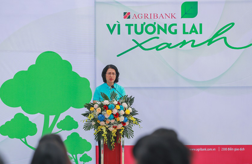 Hành trìnhMột triệu cây xanh, thêm cây thêm sự sống đến với Khu di tích lịch sử K9 Đá Chông – Ba Vì - Ảnh 1.