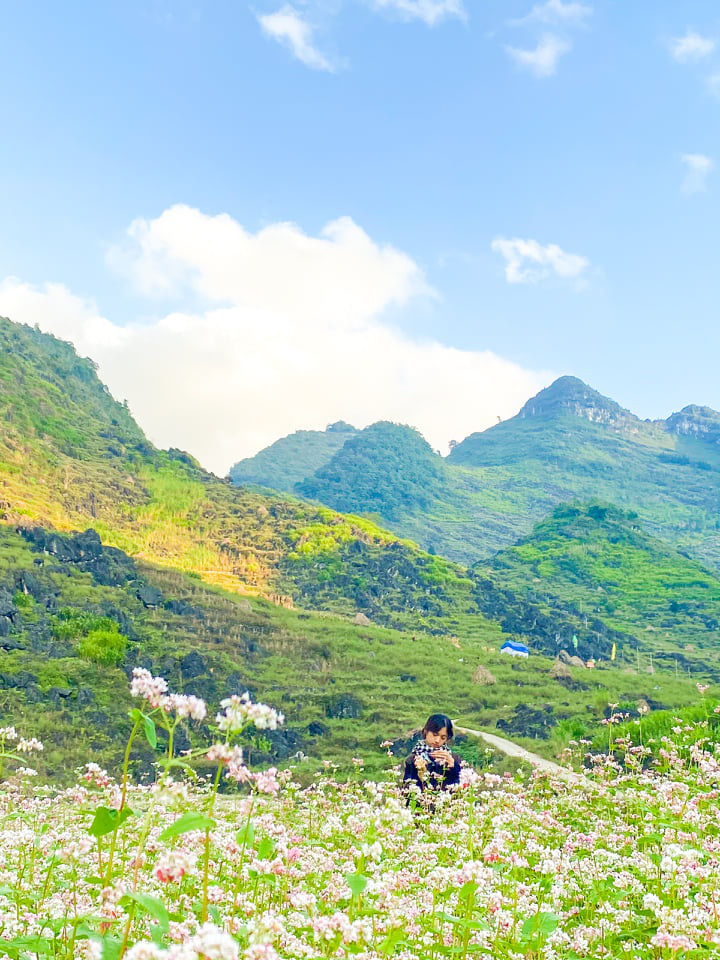 Khám phá Hà Giang mùa tam giác mạch chỉ 1,3 triệu đồng/người - Ảnh 2.