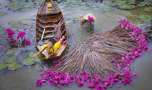 Mất dần lũ lớn