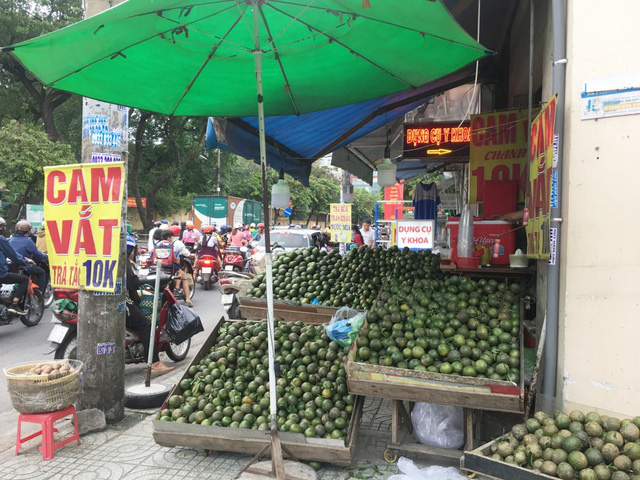 Trái cây đang có giá rẻ không tưởng, chất đầy các hè đường