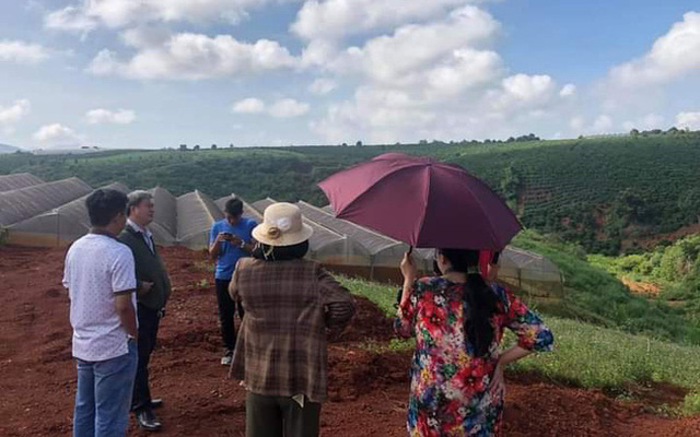 Đầu tư vào phân khúc bất động sản nghỉ dưỡng nào hái ra tiền trong mùa dịch? - Ảnh 3.